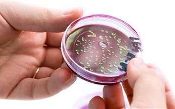 Baktéri dina sékrési prostat